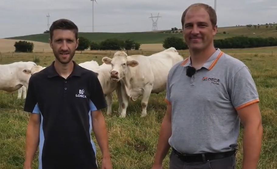 lacoopagricole's tweet image. #MaCoopMonConseiller |

Découvrez comment Luc, éleveur #bovin en @MoselleCD57, a pu maitriser sa production et ses coûts d'exploitation grâce à l'amélioration de son #autonomie fourragère, sur les conseils de sa coopérative #Lorca
👉 lacooperationagricole.coop/preuves/macoop…