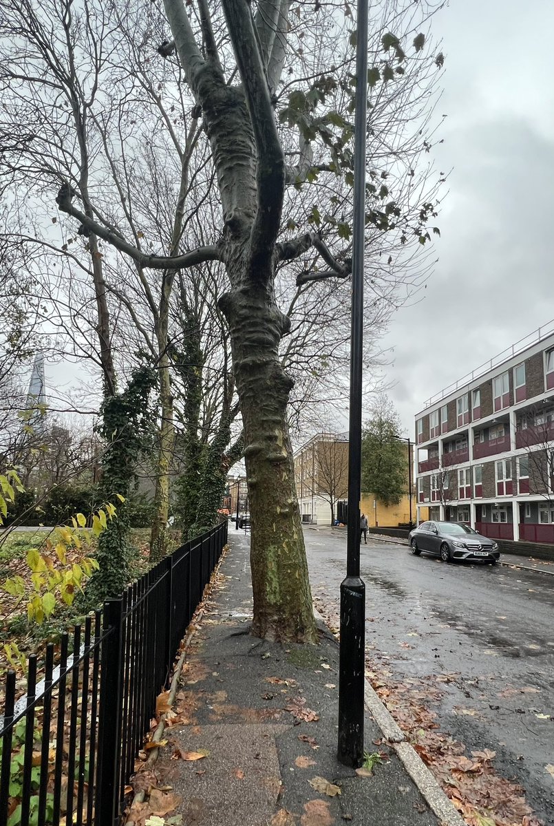 SouthwarkLS's tweet photo. Pedestrians are at the top of the road hierarchy. Discuss. https://t.co/JNaANnfwab