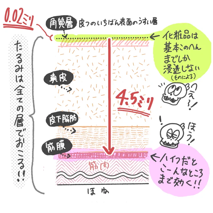美容に詳しくない30代後半の友達から「何かしら老化対策したいけどどうしたらいいの〜🥺」と聞かれたので美容医療の良さを伝えたくて送りつけた図 