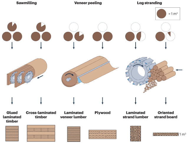 MaxPramreiter's tweet photo. On behalf of the authors (myself, @tobnen, Lukas Malzl &amp; Johannes Konnerth) we are pleased to share "A plea for the efficient use of wood in construction", which was published in @NatRevMater  
Full-text can be read here: https://t.co/zrtoa81GjG

#share @BOKUvienna #wood https://t.co/hVpsk8gxf3
