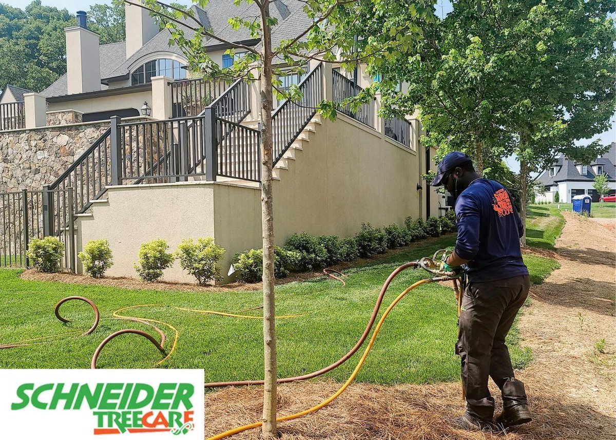 Are you considering selling your home? Well-maintained trees are a critical part of your property's curb appeal. Our certified arborists are here to help ensure that your home makes a great impression. Call 864-664-2025. #SchneiderTreeCare #ResidentialTreeService