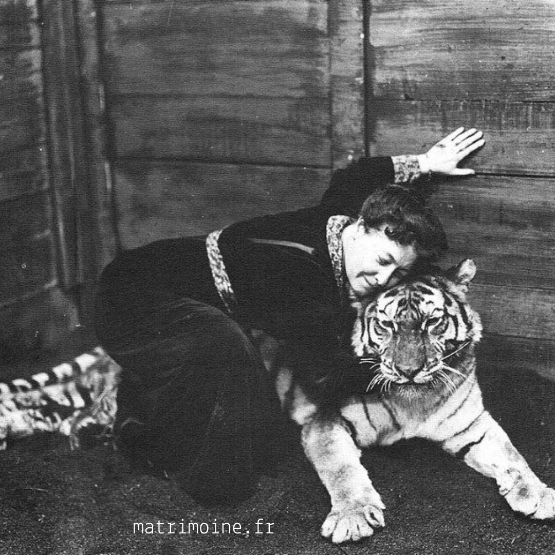 HF Île-de-France tweet media