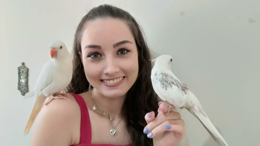 emilyscavassa1's tweet photo. Meu trio favorito!! Luna, Maddie e Klaus!! ❤🐦 #ringneck #calopsitas #calopsita #parrot #parrotlover https://t.co/fzeT1JLOoJ
