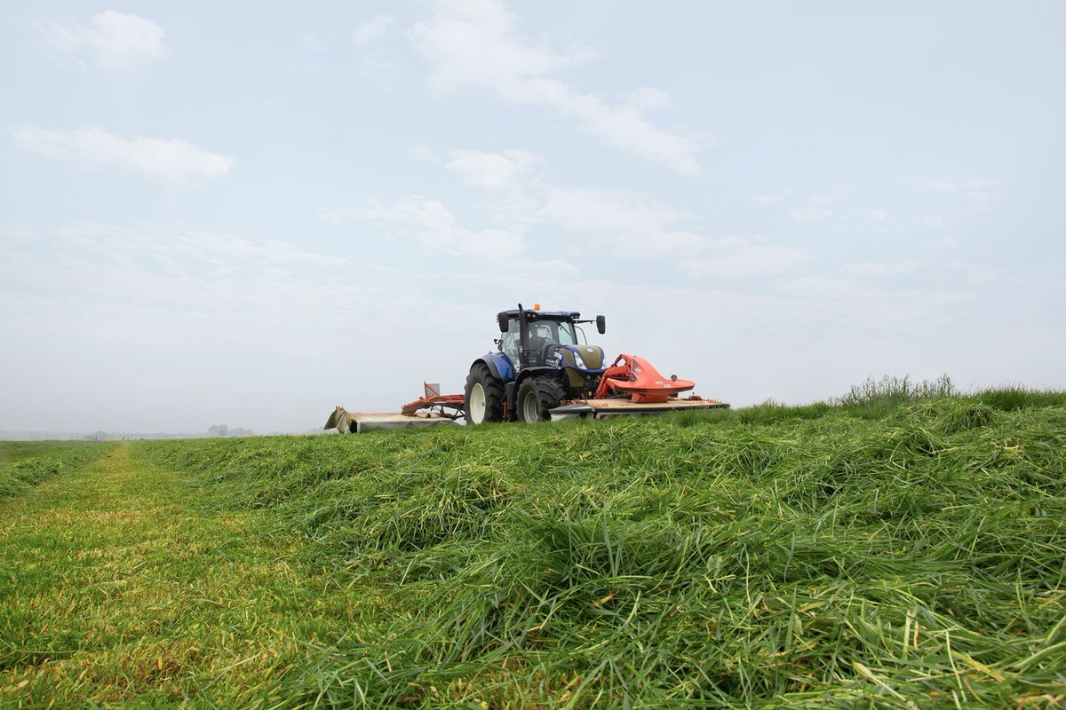 Danish trials show that choosing four or five cuts doesn’t influence the total yield, but it does make a difference to the quality you harvest.
#barenbrug #firstcut #grasssilage barenbrug.biz/forage/news/ho…