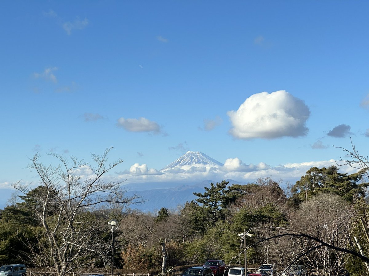 スワラズ tweet media