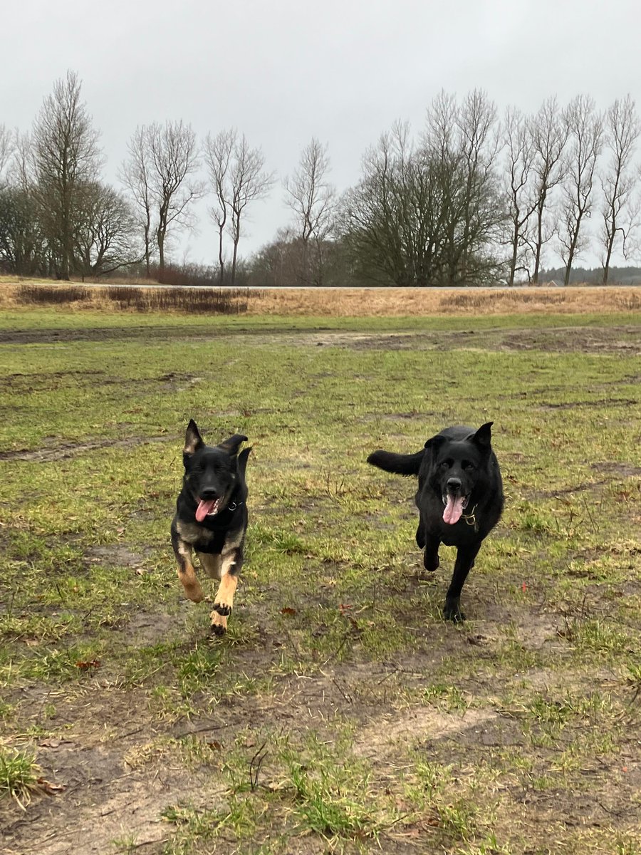 Dig og din nabo, der lykkeligt og ubekymret ser frem mod årets ferier, fordi I hjælper hinanden med at sikre jeres hjem mod indbrud.

nabohjaelp.botrygt.dk

#nabohjælp #politidk