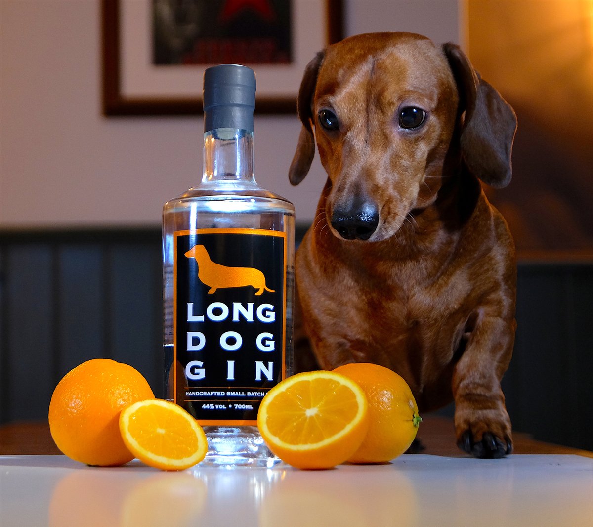 Long Dog Gin tweet media