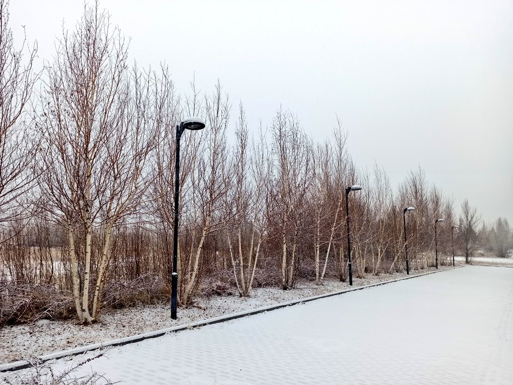 Ne kadar güzel bir gün 🌨️❄️🧿
#NiğdeÖmerHalisdemirÜniversitesi
#NiğdeKampüsFotoğrafları
<a href="/NOHUniversitesi/">Niğde Ömer Halisdemir Üniversitesi</a> <a href="/DrHasanUslu/">Hasan USLU 🇹🇷🥇</a> 
<a href="/NOHUTarim/">NOHU Tarım Bilimleri ve Teknolojileri Fakültesi</a> <a href="/CaliskanME/">Mehmet Emin Çalışkan</a>