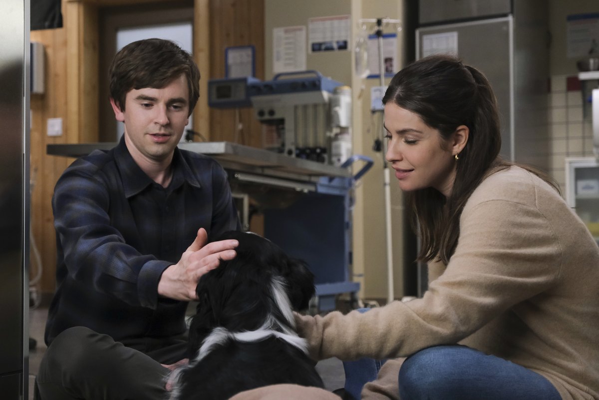 GoodDoctorABC's tweet photo. 🐶 https://t.co/PmSHPewq1A