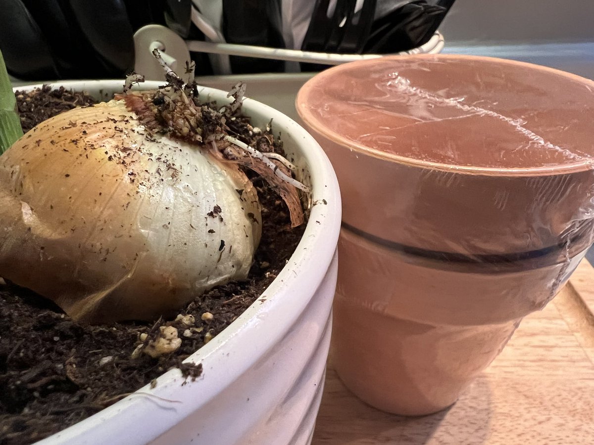 mmawifey's tweet photo. 🫧🧺 Our Sunday ☕️🪴
#oursunday #sundayvibes #winter #coffee #plants #repot https://t.co/EDTQY2QPyP
