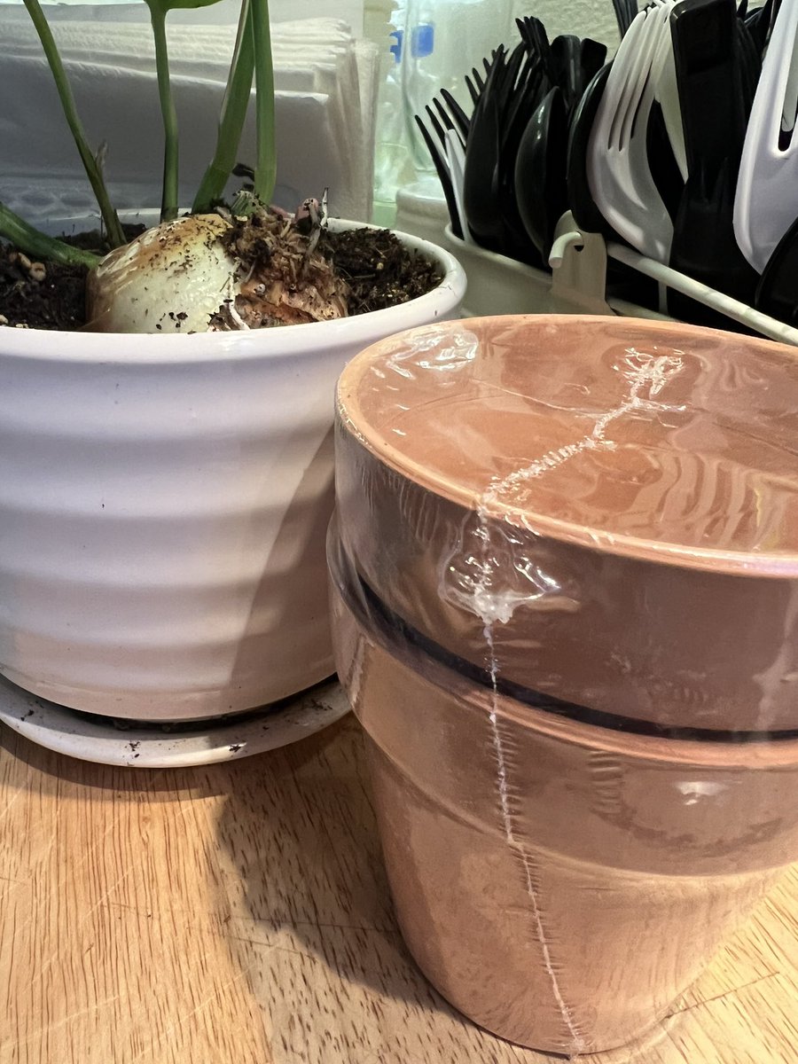 mmawifey's tweet photo. 🫧🧺 Our Sunday ☕️🪴
#oursunday #sundayvibes #winter #coffee #plants #repot https://t.co/EDTQY2QPyP