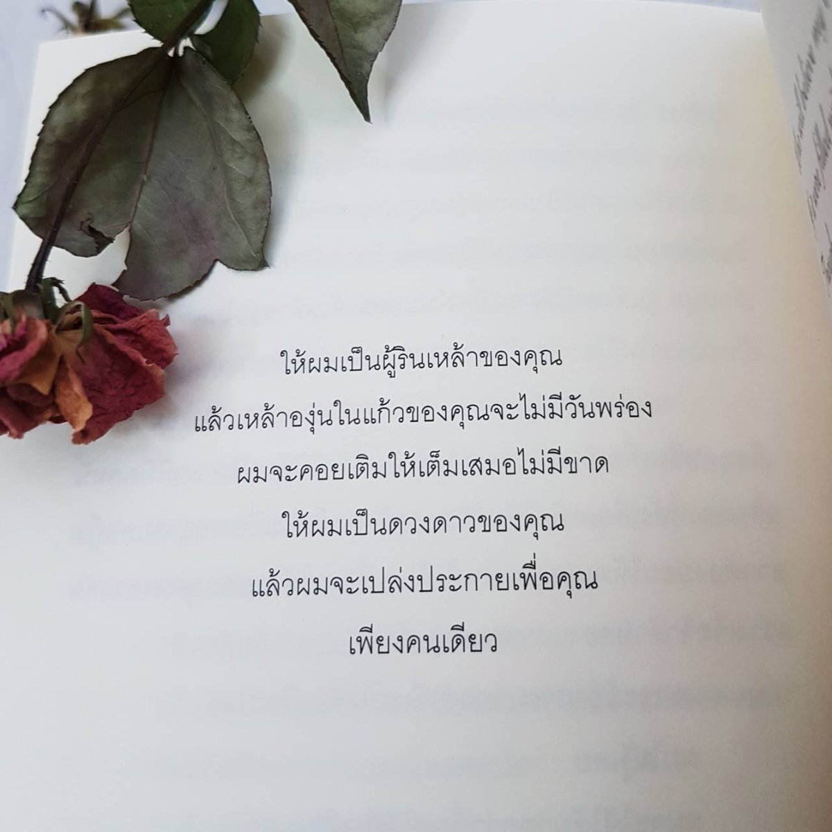 ร้านกลิ่นหนังสือ tweet media