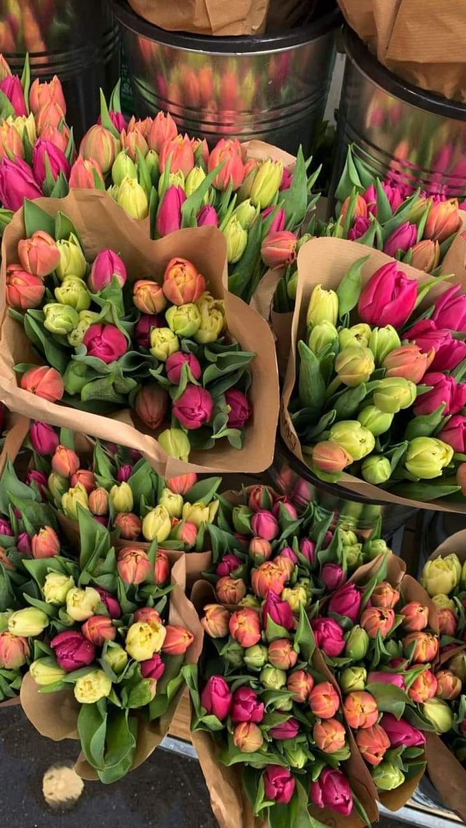 pretty