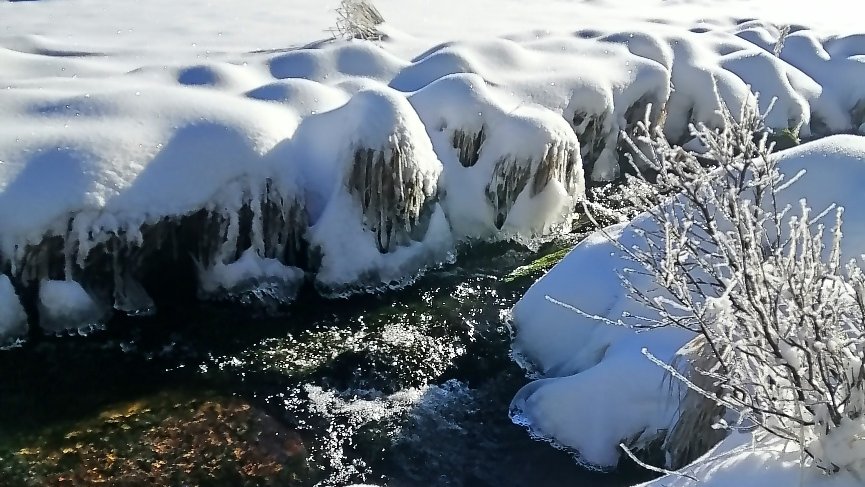 Jako v zimním království...❄️🌲☀️
#sumava #modrava #winter #winterphoto #winternature