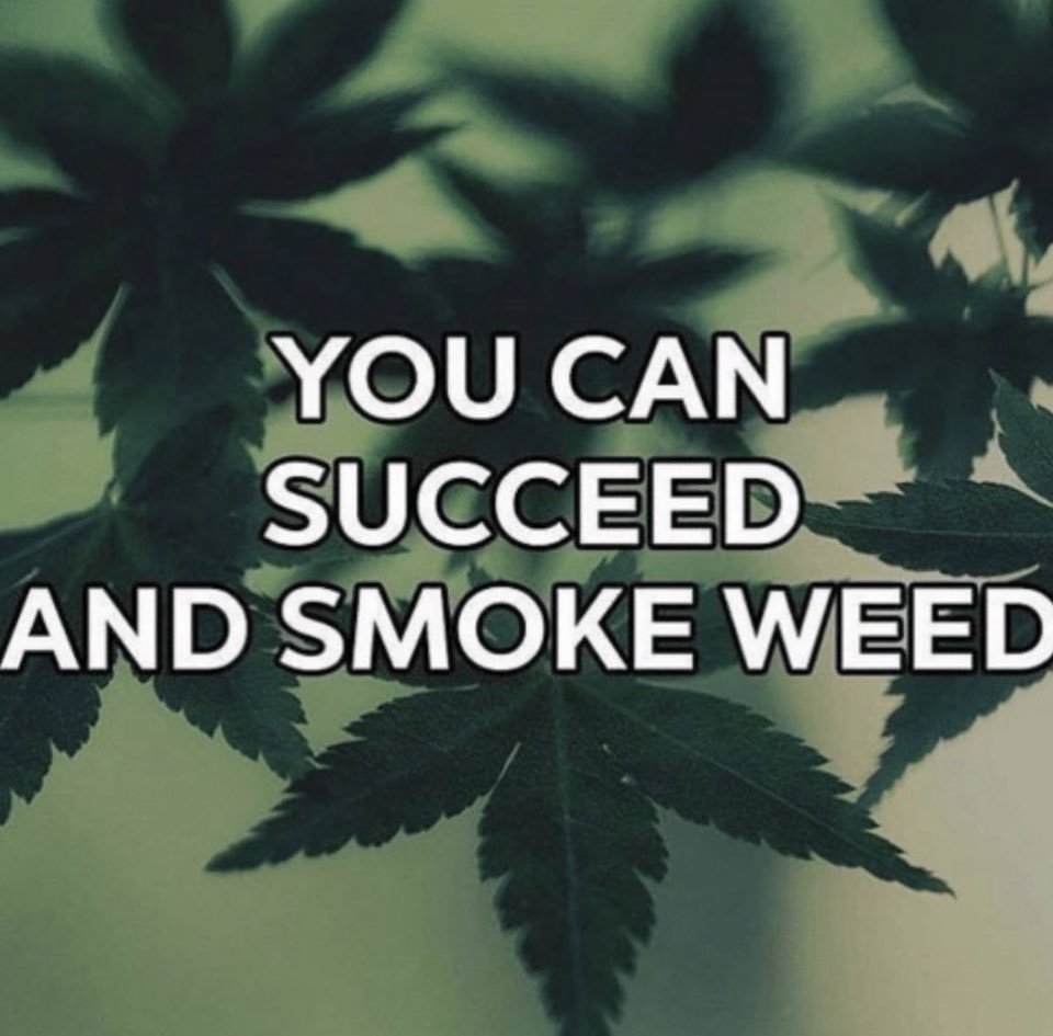 NewAgeCannaPC's tweet photo. Do you know any "successful" cannabis users? https://t.co/VZcoqbMsHw