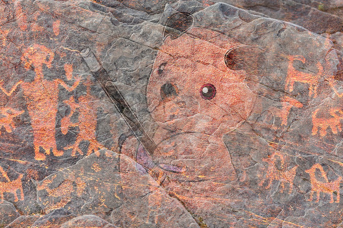Sootyandco's tweet photo. This new discovery changes what we know about Early Bear. https://t.co/pz8S3D4Jlr
