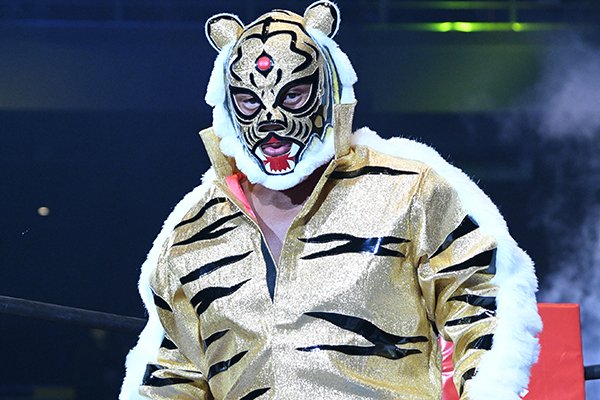 タイガーマスク　自動車 Yahoo!オークション - タイガーマスク 伊達直人 劇中車 完成品（検索）