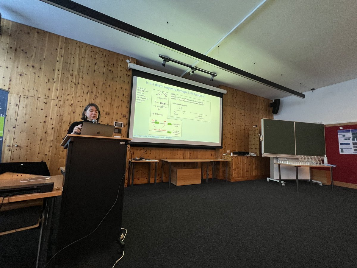 Pluchinolab's tweet photo. @anne_roumier on #5HT #signaling in #microglia live now at #FENS-Hertie winter school on #NeuroImmuneInteractions in Austria 🇦🇹🏔️❄️ https://t.co/SnnLbPvHyF