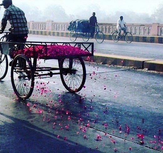 وكن في الطريق عفيف الخطى 
شريف السماع كريم النظر

وكن رجلا ان اتوا بعده
يقولون مر وهذا الاثر
#صباح_الخير_والسعاده