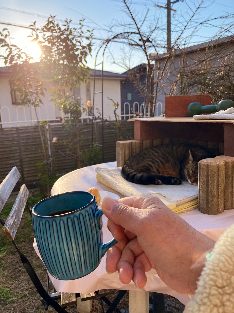 【Afternoon #coffee time using a new #cup. ＆ #cat Ms.#Maru in a #garden】
       '△,,,△'🌼
'(^≡>O<≡^)'
  'm'☕️💭'm'

I bought a couple of new favorite #handmadeCups at a #specialtystore in #MyohojiStation town.I love #blue＆#yellow colours so much❣️
 Jan.31st.Tues.16:34'23.
