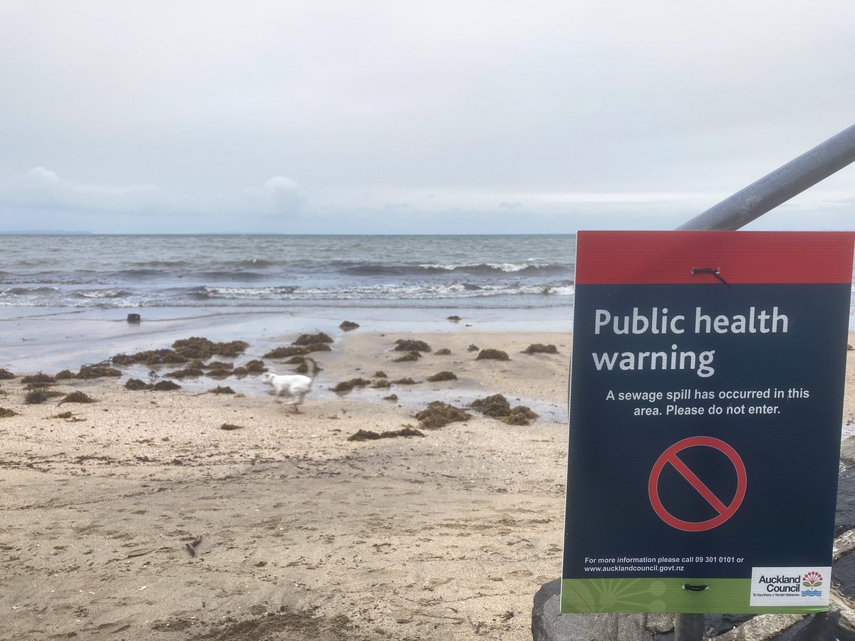 MrHilariouskiwi's tweet image. Every beach on the North Shore of Auckland is polluted with sewerage waste… #3Waters now