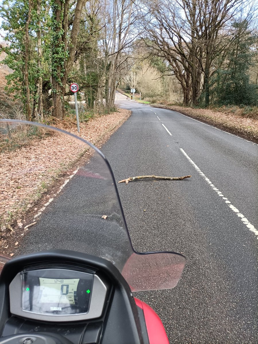 OfficialEssy's tweet photo. @SurreyCouncil @wokingcouncil please check your roads more often to maintain road users safety...I had to stop to move this large branch out of the road...otherwise I would of been injured or knocked off my Motorbike yesterday... https://t.co/k8iHQjmhYc