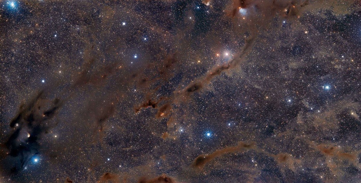 maximaxoo's tweet photo. #Space: #MolecularClouds, the birthplace of stars, have #LongLives (tens of millions of years) by constantly reassembling themselves
👁 ► https://t.co/G3zOiHprPg ◄ via @UniverseToday https://t.co/0QJ9SGlqnD