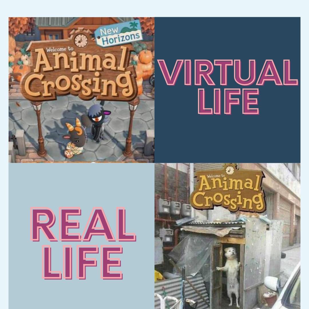 CandyCozyGamer's tweet photo. 😎When the EXPECTATION meets the REALITY😅

WELCOME TO ANIMAL CROSSING 
(REAL LIFE EDITION) 😂😂😅
#gamergirls #ANCH #AnimalCrossing #animalcrossingmemes #videogamesaddict #memesfunny #consolegaming #gaminglife #switchcommunity #cozygamergirl #cozyvibesonly https://t.co/xGr4hYTdIO
