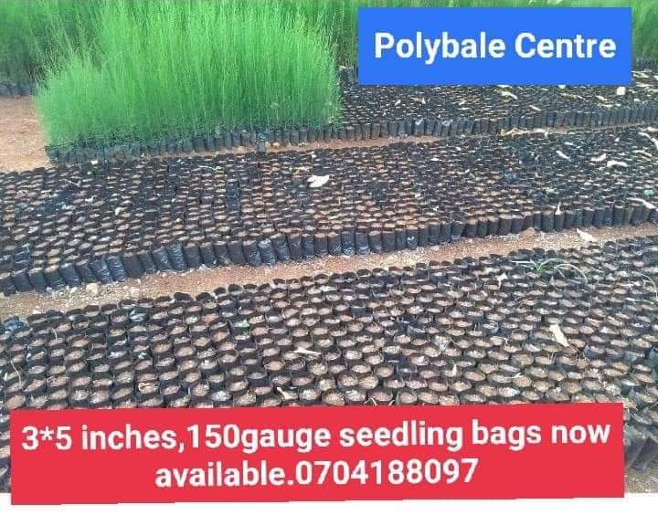 Seedling Bag Suppliers (@seedlingbags) on Twitter photo 