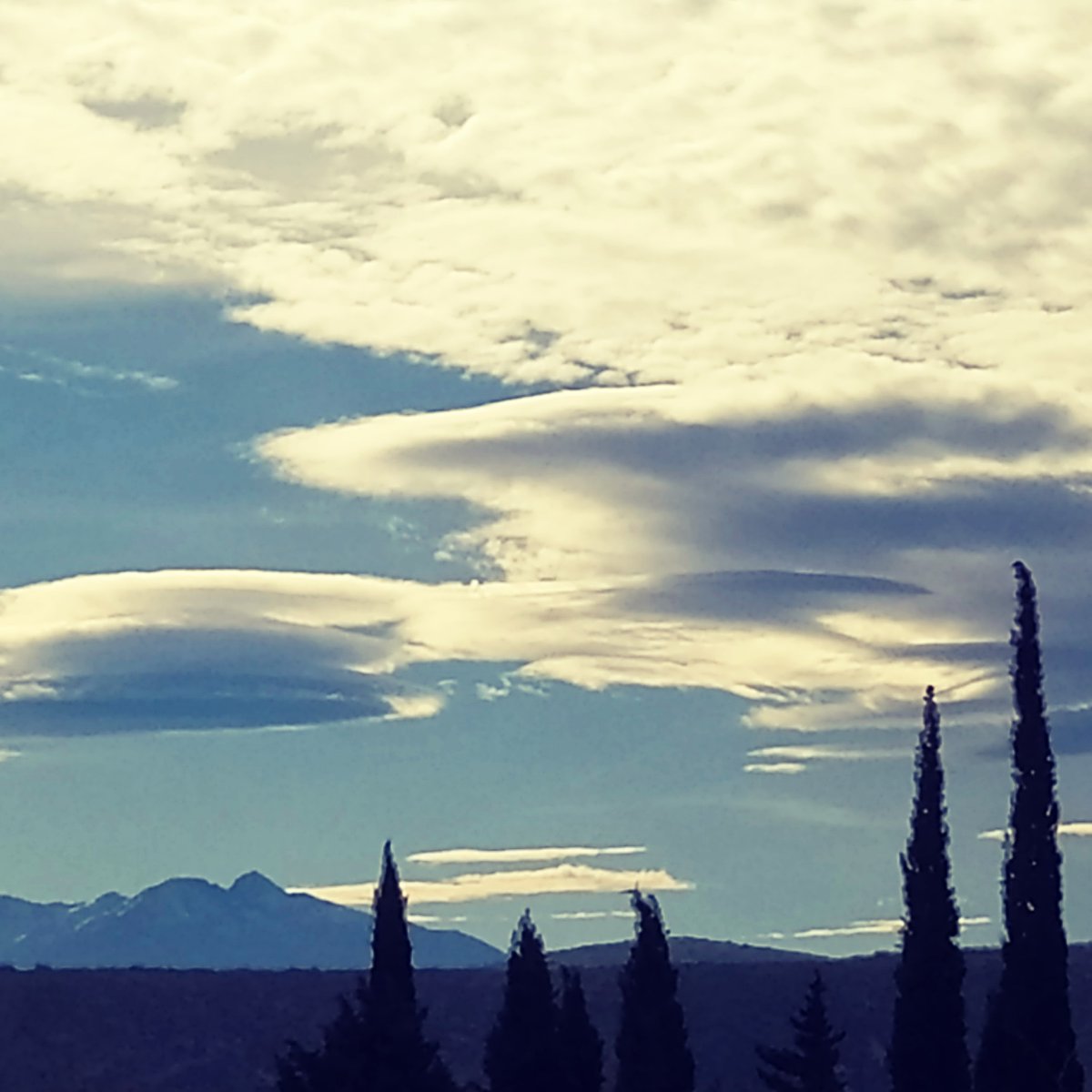 Cy-près des nuages! #vigneronsindependants #vignehiver #poesie #domainefamilial #artetvin #cyprès #nuage @mounpais #southoffrance 
@Atout_Terroir #passionvin #vigne @occitaniwines
@VinsduLanguedoc #suddelafrance #winelover #languedoc #mondeagricole