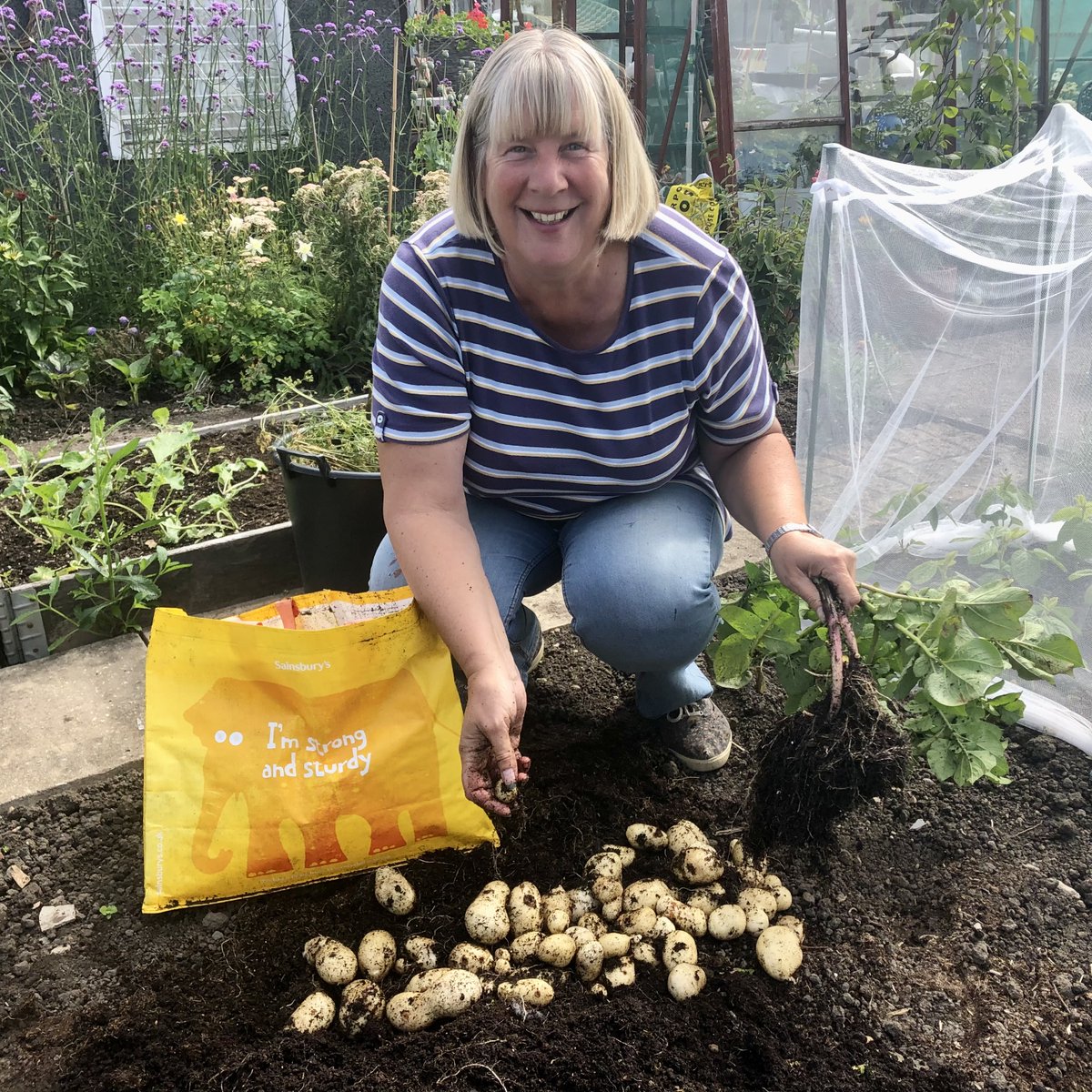 pottyplotters's tweet photo. #BagForLife to #growyourown spuds! Listen to us on our #plotcast #podcast from 8am tomorrow to hear more https://t.co/GA7GXHmK78

#allotment #allotmentlife #gyo #pottyplotters #naughtycorner #learning #mentalhealth #wellbeing #veg #plant #fruit #sustainable #thegoodlife https://t.co/MXPNcEFl2h