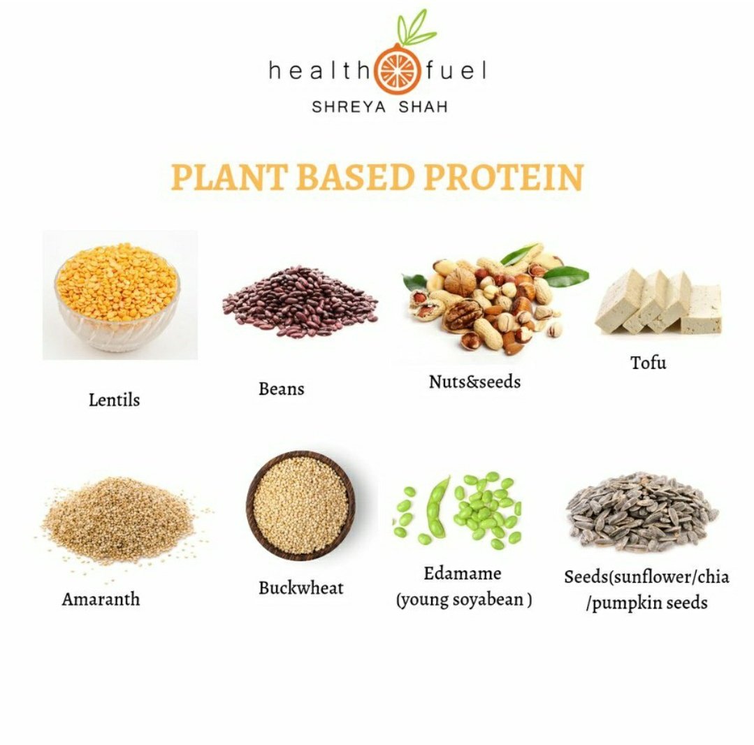 Plantbased protein!! Plantbased protein is a source of protein that