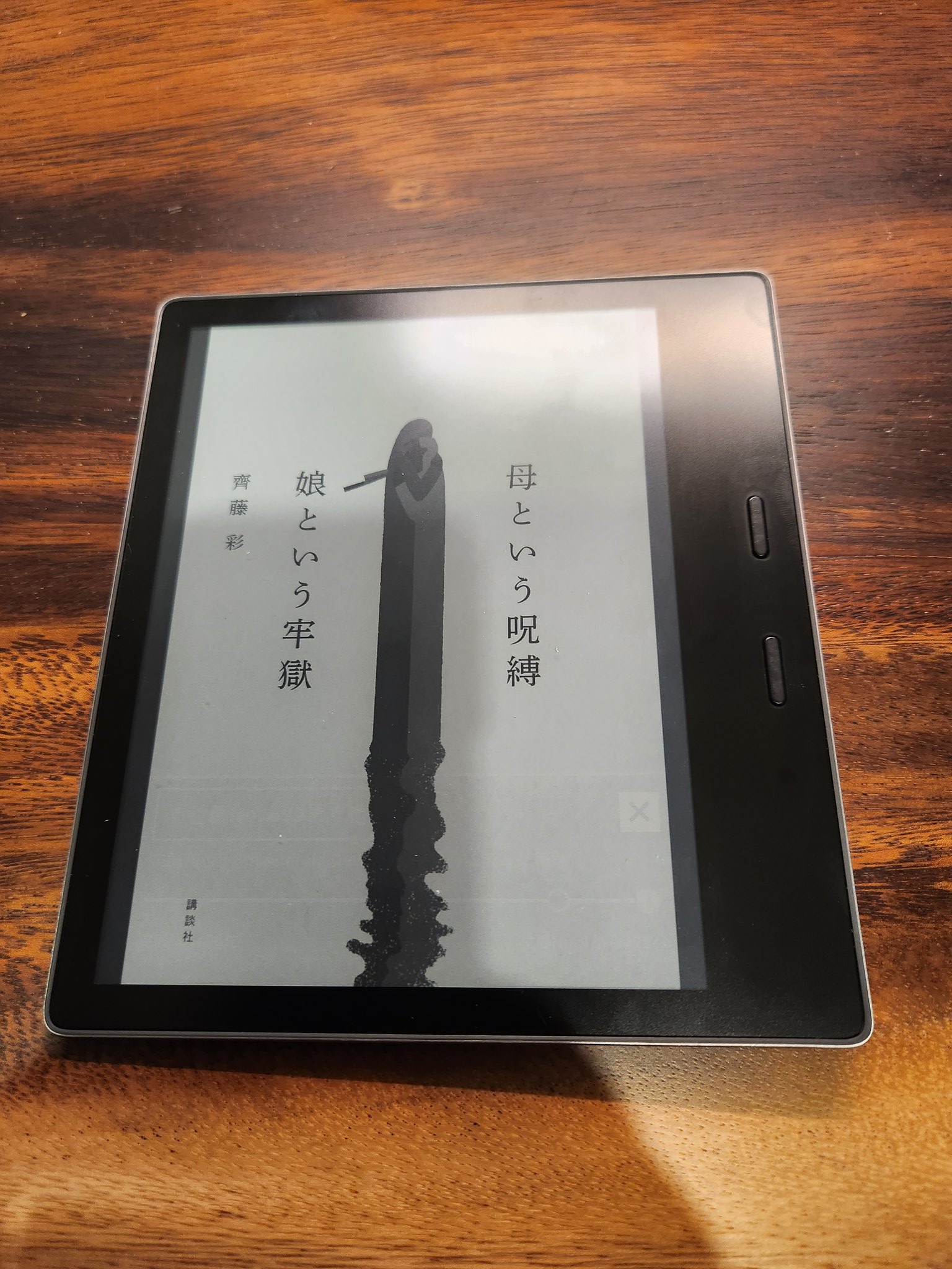母という呪縛 娘という牢獄 齊藤彩 人文・思想 | vlnresearch.com