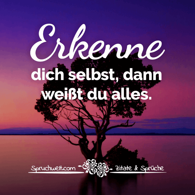 hspunk71aolde1's tweet photo. Guten Morgen alle miteinander. https://t.co/fgu1GVm1yJ