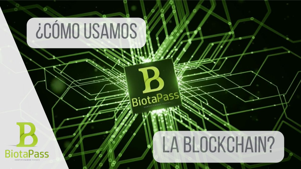 :: @BiotaPass_ , Plataforma #ClimaTech, que usa las tecnologías más innovadoras en los servicios y productos que ofrece, usa la #tecnología #blockchain para ofrecer absoluta transparencia y trazabilidad en todos sus procesos :: 📢 Te lo contamos en -> youtu.be/QNKZPiW82Y8
