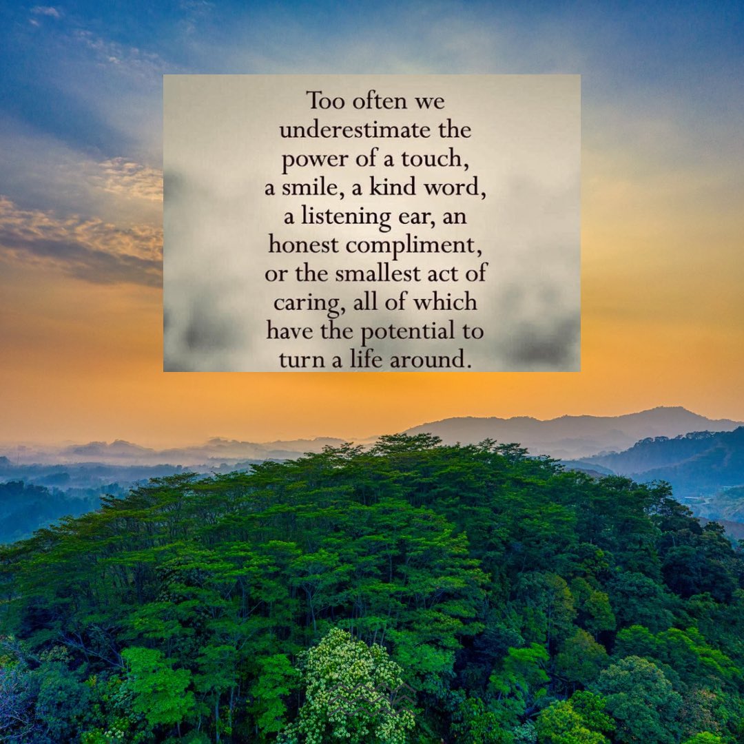 JulieTa58407536's tweet image. Thank you for the amazing support yesterday for the @KeyWorkerPetUK, please keep signing and sharing
This quote resonates, gratitude to you all, I hope you have the best day you can ❤️
#longcovid #advocacy #keyworkers #chronicillness @BBCPanorama #onedayatatime #bekind