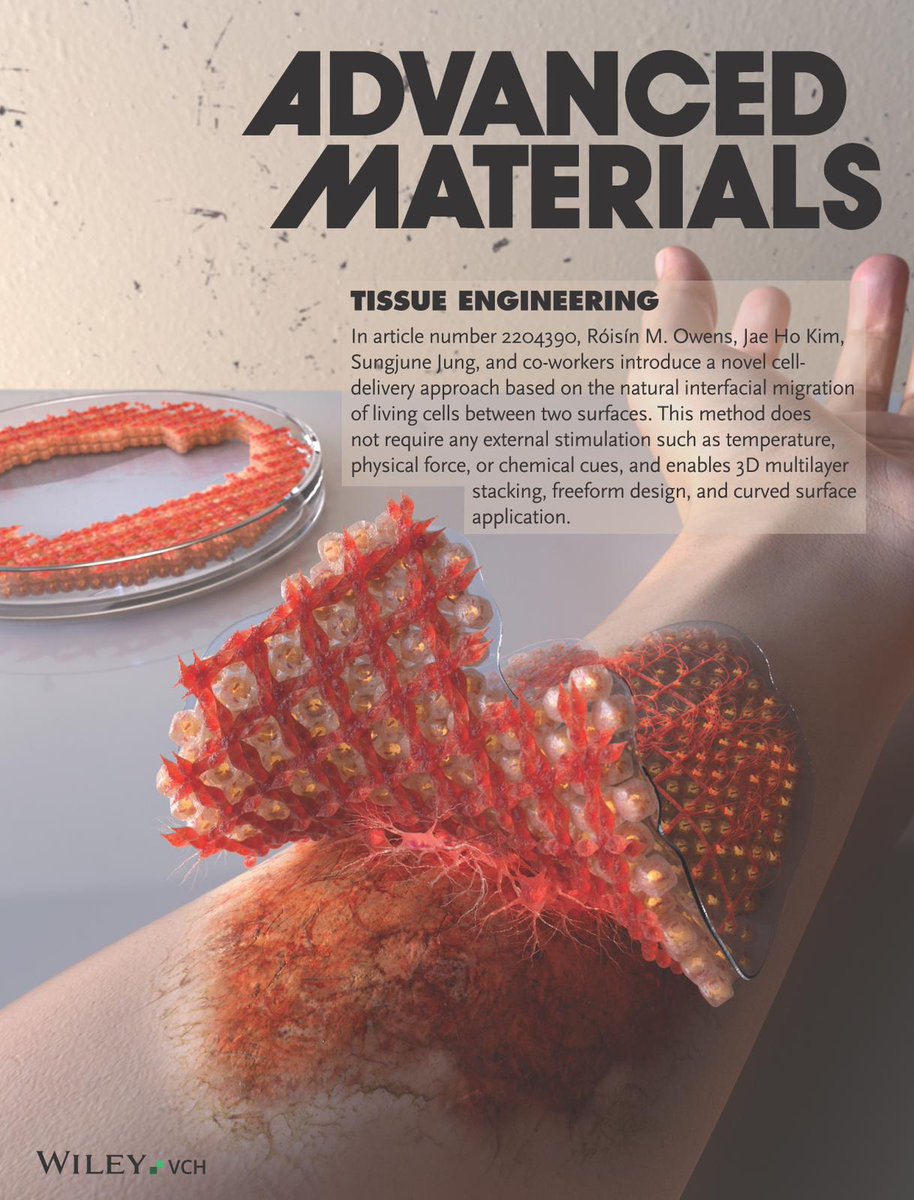 Our paper made the cover of Advanced Materials! Congrats again to everyone involved in this collaboration, and thanks for the feature @AdvSciNews ! @BioElSystTech @biochemist_hero @cebcambridge @CamUniEngage 
#tisueengineering #biomedicalengineering #biotechnology