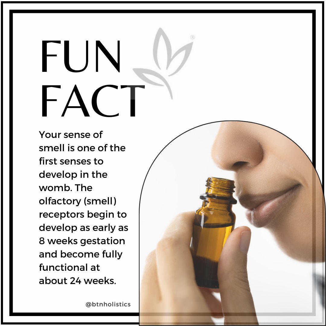 Learn all about how the power of aromatherapy works with your senses as part of our Level 3 Aromatherapy course. 

Our next course starts in February, so there is still time to enrol!