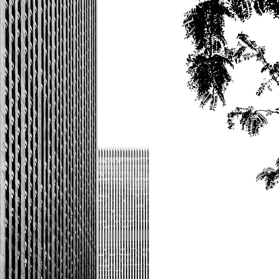 Conceptes's tweet photo. [ Entre lo vivo y lo inerte.  NYC ]
---
#composition #contrastphotography #blackandwhitephotography #bnwphotography #joseconceptes #newyorkart #contrast #nycstyle  #minimalism #abstraction #newyorkphoto #architecturephotography #newyorkartgallery #minimalstyle #windows #topn… https://t.co/KTcn2NDC9g