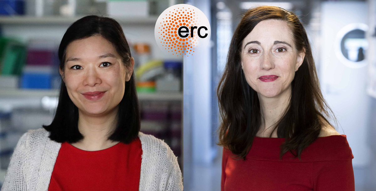 MPI-CBG Dresden (@mpicbg) on Twitter photo Two <a href="/ERC_Research/">European Research Council (ERC)</a> Consolidator Grants for <a href="/mpicbg/">MPI-CBG Dresden</a> researchers: Meritxell Huch <a href="/MeriHuchlab/">Huch Lab</a> and Dora Tang <a href="/DoraTang5/">Dora Tang</a> are two of 321 laureates of the 2023 ERC Consolidator Grants. Congratulations! 🎊 mpi-cbg.de/news-outreach/… Two <a href="/ERC_Research/">European Research Council (ERC)</a> Consolidator Grants for <a href="/mpicbg/">MPI-CBG Dresden</a> researchers: Meritxell Huch <a href="/MeriHuchlab/">Huch Lab</a> and Dora Tang <a href="/DoraTang5/">Dora Tang</a> are two of 321 laureates of the 2023 ERC Consolidator Grants. Congratulations! 🎊 mpi-cbg.de/news-outreach/…