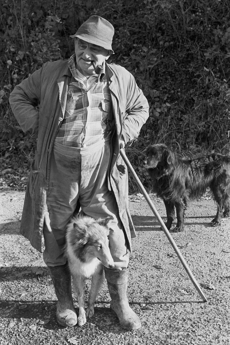 Archie Parkhouse with his dogs, Millhams, Dolton, November 1973. Photograph by my Dad ©Beaford Arts @beaford #Devon #photography beafordarchive.org/archive-image/…