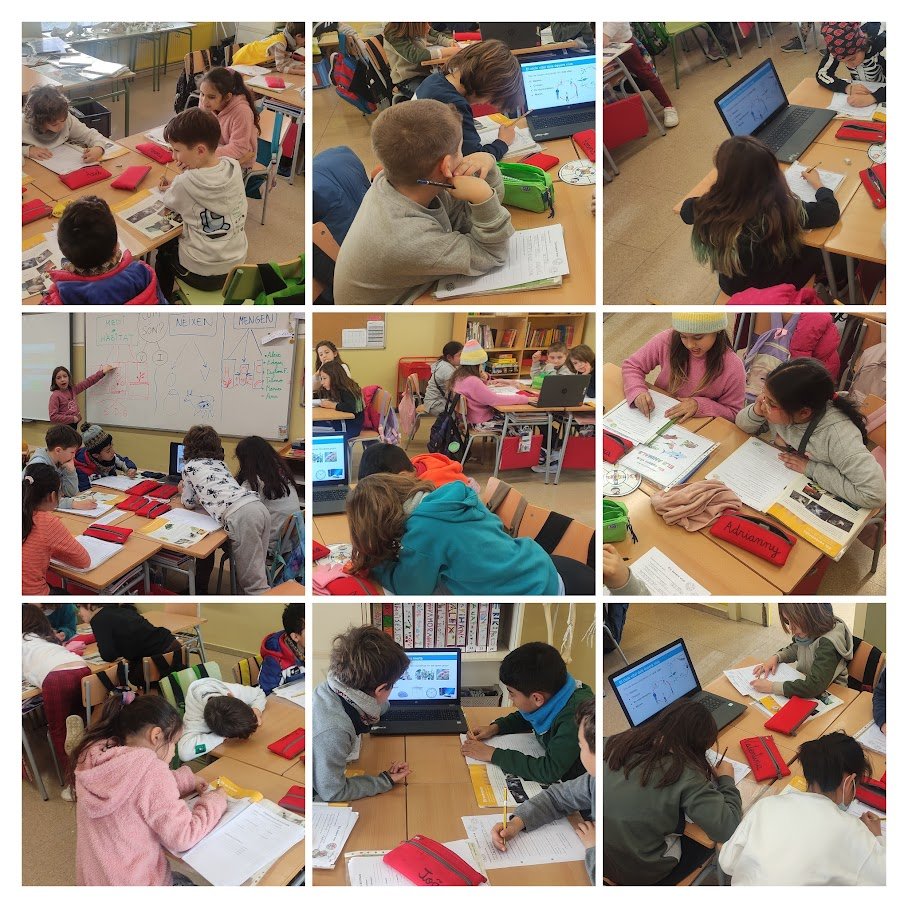 L'alumnat de 3r investiga els éssers vius en grups cooperatius
blocs.xtec.cat/lasedeta/2023/…