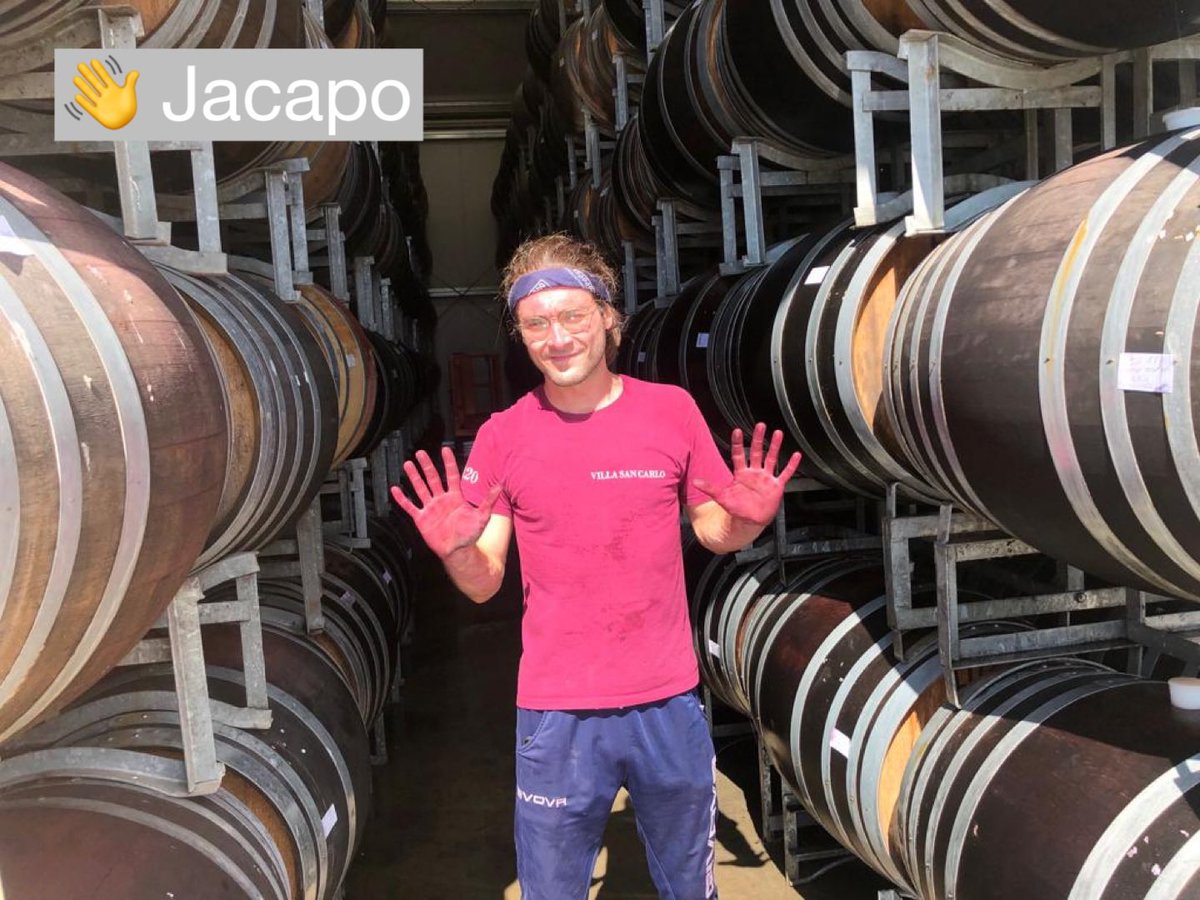 Here's cheers to the first arrival of our interns for vintage 2023!!
Say g'day to Jacopo from Italy and Thodoris from Greece.
Having just started yesterday, I've been so impressed with the attitude of both these men, very passionate about wine, eager to learn and willing to work.