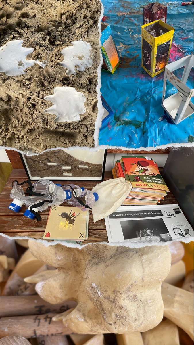 Bei den Kleinsten beginnen und für nachhaltiges Handeln sensibilisieren. Zeigen was die Natur ausmacht und warum sie so wertvoll ist. Bildungsarbeit bei den Kleinsten in Gelsenkirchen #Schalke-Nord. 
#Teilhabe <a href="/SUE_NRW/">Stiftung Umwelt und Entwicklung NRW</a>