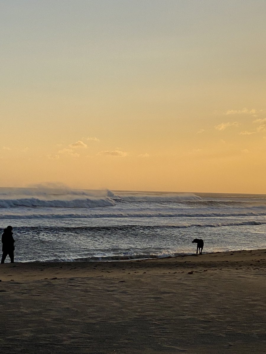 SpanielsSuper's tweet photo. Oh what a beautiful morning #WindyWaves #BlythBeach https://t.co/bwSyJ0FTYp