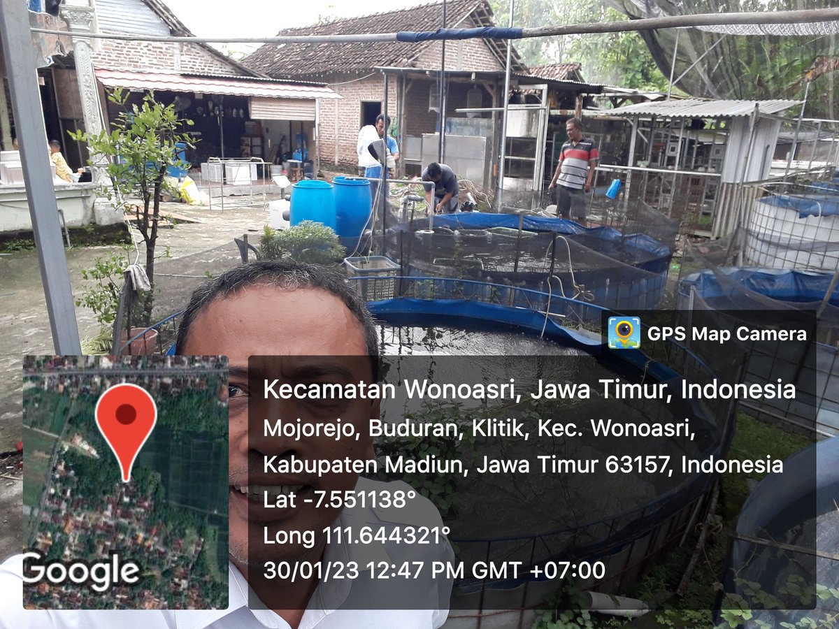Susiloanto5's tweet photo. Senin(30/1), susiloluhkankab.madiun, mendampingi packing ikan mas koki di pokdakan margo minna,60 ekor,nilai 30 juta,tujuan sidney,#kab.madiun
#luhlapor
#GiatLuhkanSatminkalBWI
@bppp_banyuwangi 
@pusluhkp https://t.co/1GlVzkeKGF