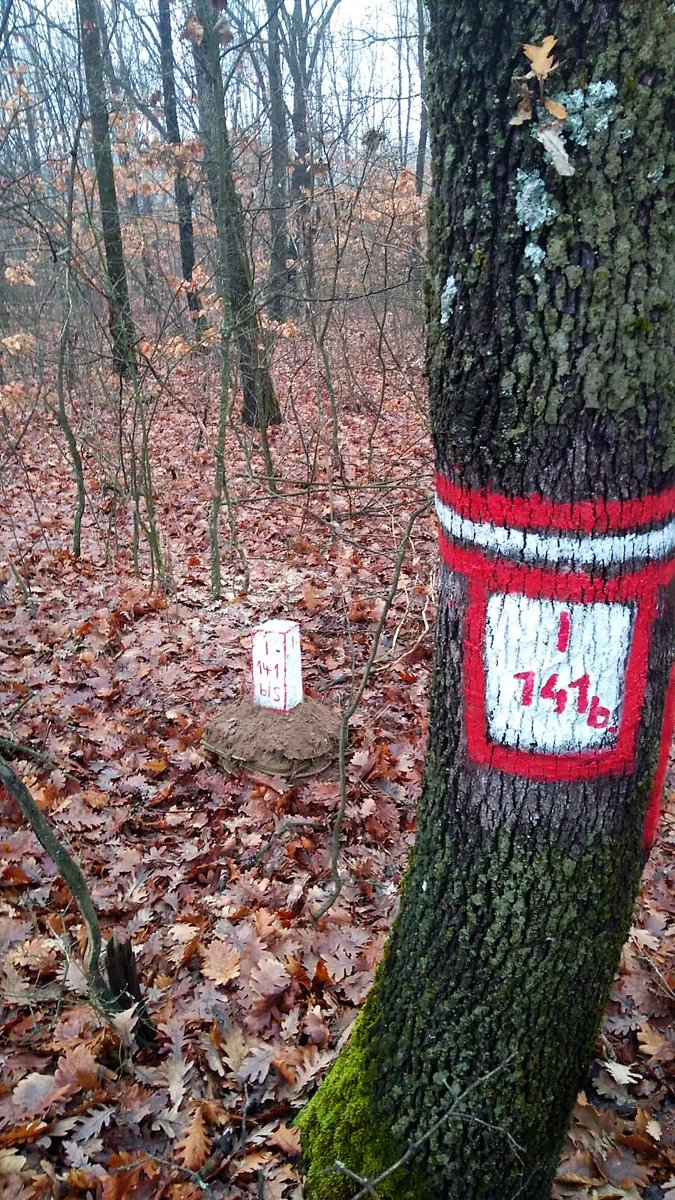 RNP_Romsilva's tweet photo. Monitorizarea stării de sănătate a pădurilor și prognoza dăunătorilor sunt activități permanente și extrem de importante pe agenda silvicultorilor din cadrul Romsilva.
📷credit Romsilva - Ocolul Silvic Vulturești -Direcția Silvică Olt
#forestry #forest #Romania #carefortrees https://t.co/OHMZXbW858