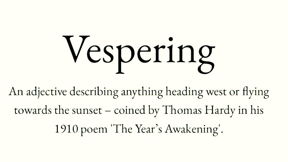 The Word of the Day 🌿

Pick your favourite.
(And follow this account for the next selection 😀)

A B
C D