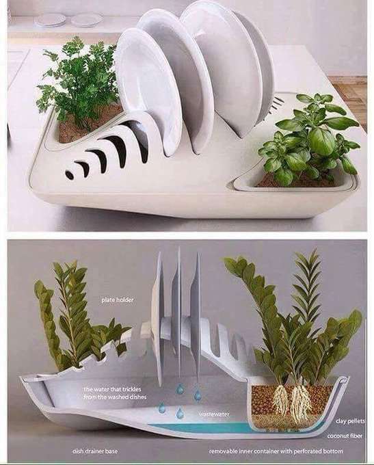 ‘’Fluidity’’ is a dishes drying rack designed to serve a double function. It lets you grow your fresh herbs and any small plant you want. The water that trickles from the washed dishes irrigates the plants

[read more: buff.ly/2Ct1WeM]