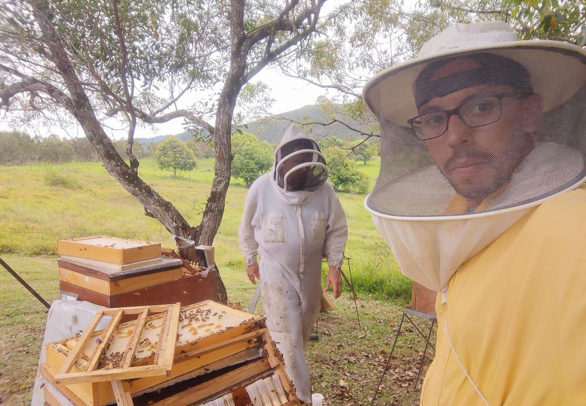 innodeapi's tweet photo. El presidente de @innodeapi nos deja unas 📸 de su estancia por Nueva Caledonia🇫🇷🇳🇨 en el centro apícola nacional ADECAL donde además del seguimiento sanitario, realizan proyectos de I+D+I y programas de mejora genética (realizando seguimientos periódicos a las abejas reinas🐝👑) https://t.co/tSHyEHZTmh